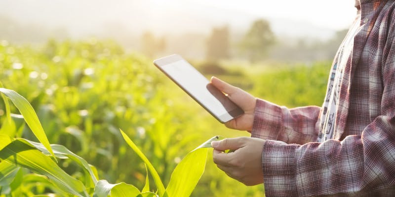 Food Safety and Technology – A Look into Japanese Agricultural Data Collaboration Platform ‘WAGRI’