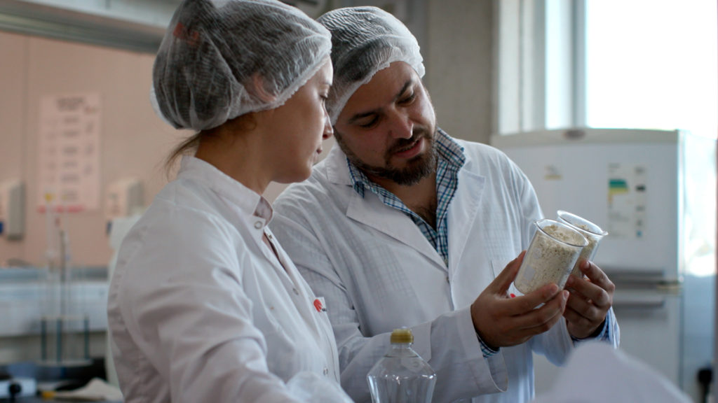 True Stories of Food Safety Culture Around the World: A New Season of the GFSI Web Series