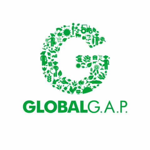 GLOBALG.A.P. Certification Programmes IFA v6 – GFS for Fruit and Vegetables and IFA v6 – Smart/GFS for Aquaculture Gain GFSI Recognition