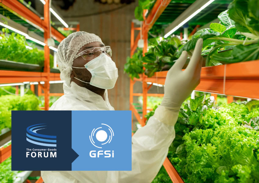 GFSI Launches Consultation on Professional Development Framework For Food Safety Auditors